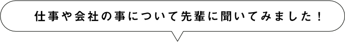 仕事や会社の事について先輩に聞いてみました!